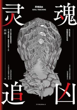 靈魂追兇（出書版）